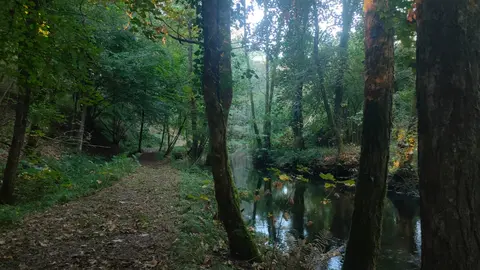Sendeiro do río Uma.