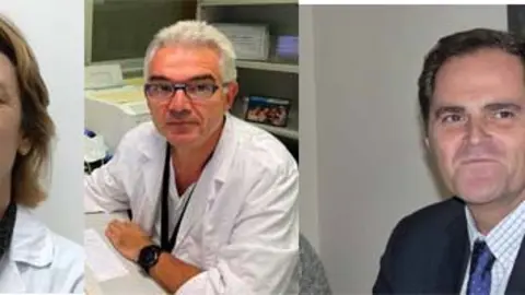 Comité científico.