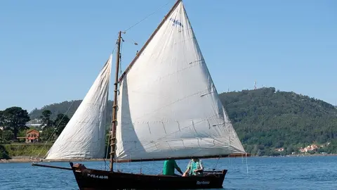 Tienen su puerto habitual en Ferrol, Muros, O Grove, Oleiros, Ribeira, Sanxenxo, Vigo y Vilagarcía de Arousa.