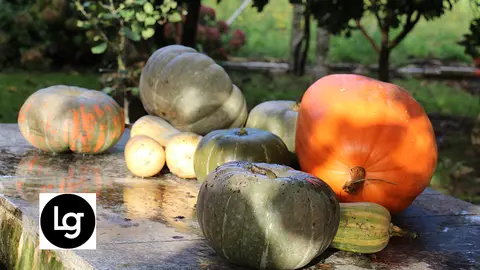 Cabazas de Cordeiro, Valga, Pontecesures.
