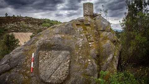 ANDRÉS DIZ DOMÍNGUEZ.