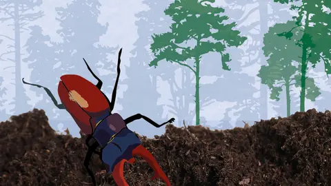 Fragmento del cartel.