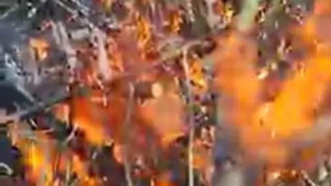 Queima de resto de poda.