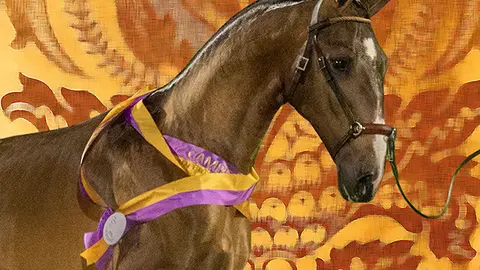 Cartaz Feira do Cavalo 2023.