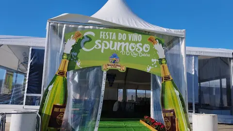 Esta mañá a gran carpa branca lucía espléndida ao sol de decembro.