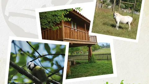 Fragmento do Cartaz.