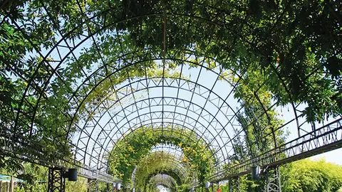 Festival Internacional de Jardins. MIGUEL COSTA.