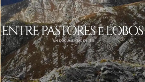Entre pastores e Lobos (Imprimir)