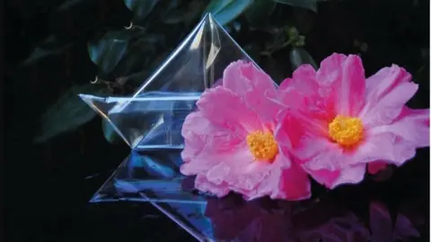 Fragmento del cartel.