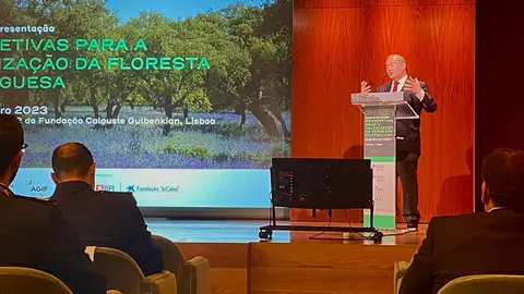 Ministro da Economia e do Mar, António Costa Silva, interveio na sessão de apresentação do estudo «Perspetivas para a Valorização da Floresta Portuguesa», Lisboa.