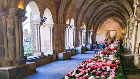 Mostra Camelia 2022. ARQUIVO,