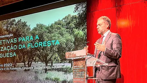 Ministro do Ambiente da Ação Climática, Duarte Cordeiro, interveio na sessão de apresentação do estudo «Perspetivas para a valorização da Floresta Portuguesa», Lisboa