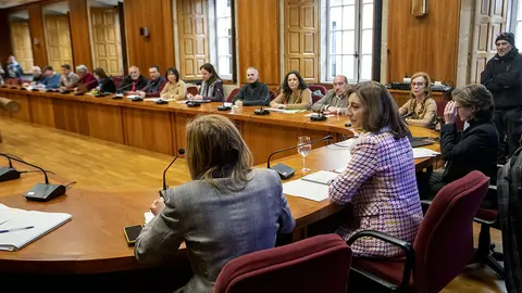 A conselleira de Medio Ambiente, Territorio e Vivenda, Ángeles Vázquez, preside la reunión dei Consello galego de medio ambiente e desenvolvemento sostible.