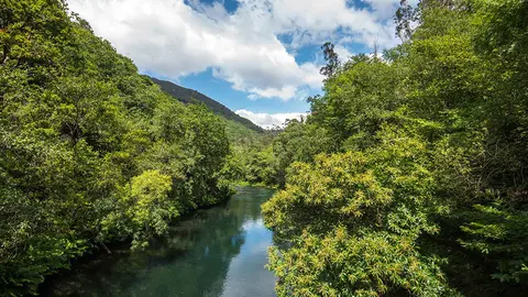 El plan busca el equilibro entre la conservación de los recursos y las actividades socieconómicas y la presencia humana ordenada en el parque.