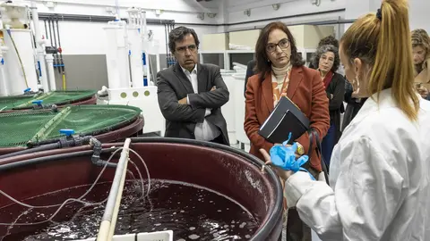 Ministra da Ciência, Tecnologia e Ensino Superior, Elvira Fortunato, visitou o Laboratório Experimental para Organismos Aquáticos (LEOA) da Universidade do Algarve, no âmbito do «Governo mais próximo», Faro,