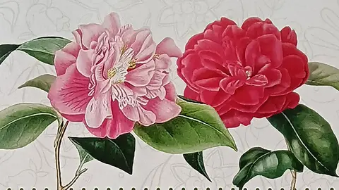 Fragmento del cartel anunciador.