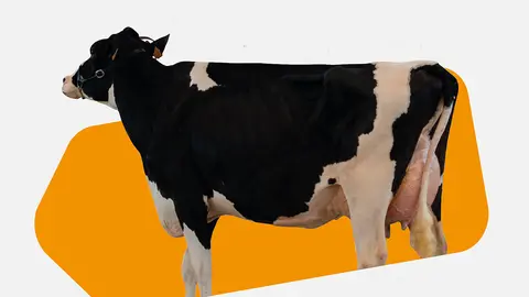 Fragmento do cartaz.