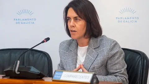 A directora da Axencia Galega de Innovación, Patricia Argerey. ARQUIVO.