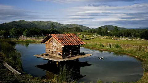 Quinta de Pentieiros. JOSÉ ANTUNES.