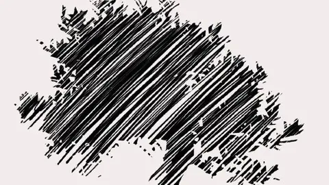 Prémio Ribeiro Telles.