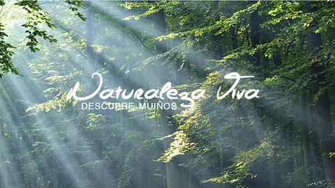 'Naturaleza viva', el lema promocional turístico de Muiños.