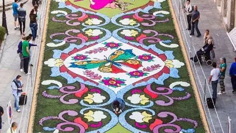 Alfombra del Corp us Christi ponteareano (2015) en la avda. de la Constitución.