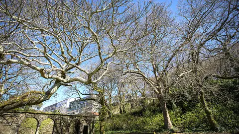 Este balance confirma que la Comunidad avanza en línea con los objetivos marcados por la UE y parte de una buena posición para poder conseguir la neutralidad climática antes del año 2050.