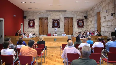 -	O pleno deu luz verde este xoves ás dedicacións parciais e exclusivas e á creación de seis comisións informativas permanentes.