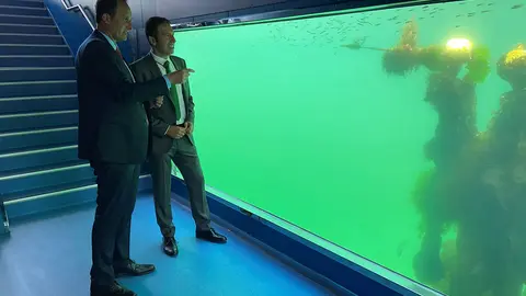 El conselleiro do Mar visitó esta semana el observatorio submarino inaugurado en marzo en el puerto de Vigo.