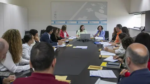 A directora xeral de Xuventude, Participación e Voluntariado, Cristina Pichel, mantén unha reunión cos skateholders do programa Rural Youth Future.