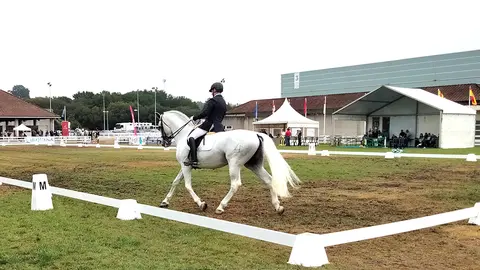 Participante en Equina nas probas de funcionalidade do IX Campionato de España de PRE ANCCE de Galicia.