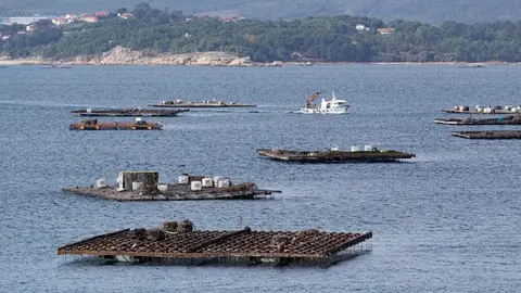 Compensa hasta el 100 % de los costes adicionales en los que incurrieron las empresas de este ámbito en el 2022 tras la invasión rusa.