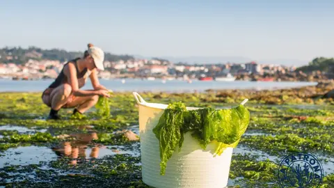 Cristina García ha fundado La Patrona.