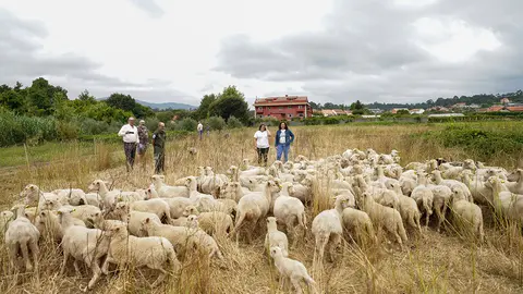 La directora general de Patrimonio Natural visitó este miércoles una explotación beneficiaria de estas ayudas.