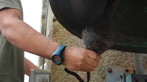 Mateo, xoven campaneiro, repinicou para a misa solemne de 12.