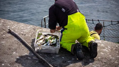Pescadores no porto de Laxe. ARQUIVO.