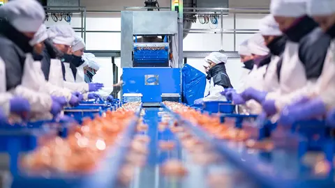 La empresa Centro Frigorífico Conservero Cefrico, en Vilagarcía de Arousa. ARCHIVO.