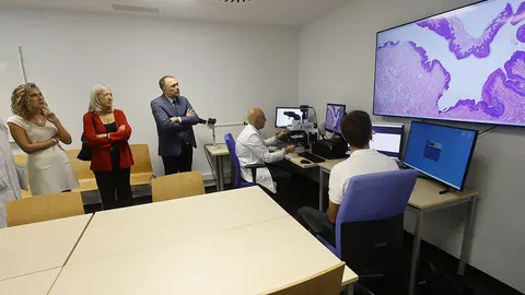 O Consello da Xunta autorizou novas adquisicións tecnolóxicas por 5,7 millóns de euros para culminar o proceso de transformación dixital dos servizos de Anatomía Patolóxica do Sergas, no que se invisten un total de 10,3 millóns de euros.