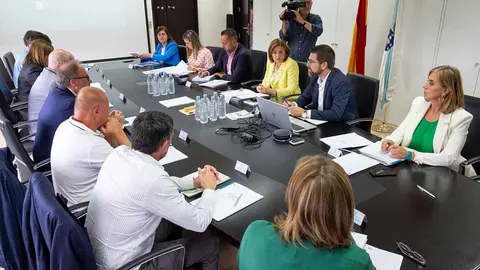 A conselleira de Promoción do Emprego e Igualdade, Elena Rivo, preside unha nova xuntanza da Mesa do Emprego Autónomo.
