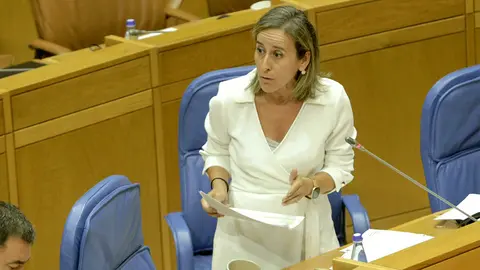 Vázquez Mourelle se refirió hoy en el Parlamento autonómico al encuentro de ayer del Comisionado para el Corredor Atlántico de Mercancías con los representantes del empresariado gallego que, indicó, sirvió para constatar, una vez más, la falta de implicación y compromiso del Gobierno de España con un proyecto estratégico para incrementar las capacidades logísticas y la competitividad económica y empresarial de Galicia.