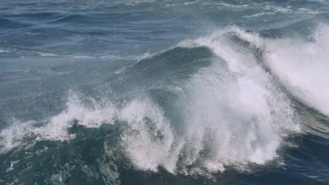 Portugal vai antecipar em quatro anos meta de proteção das áreas protegidas marinhas.