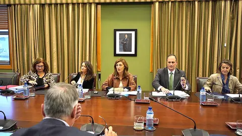 La vicepresidenta segunda y conselleira de Medio Ambiente, Territorio e Vivenda participó en la comisión de seguimiento.