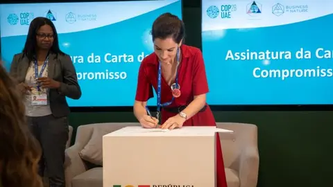 Portugal comprometeu-se, com a assinatura do Manifesto Mulheres Pelo Clima, a incluir as mulheres em todas as fases das políticas ambientais, promovendo a igualdade.