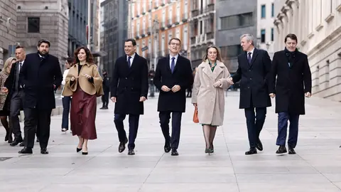 O presidente da Xunta, Alfonso Rueda, participa no acto conmemorativo do Día da Constitución. Congreso dos Deputados.