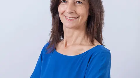 Sara Pereira coordena o novo órgão consultivo e de acompanhamento das políticas na área.