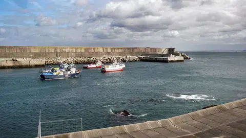 Porto de Malpica de Bergantiños.