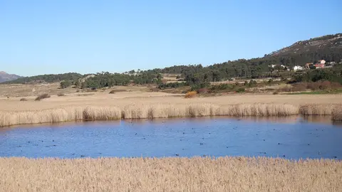 Tras esta última revisión son xa 650 os elementos catalogados no conxunto da Comunidade, abranguendo unha superficie total de máis de 45.000 hectáreas.