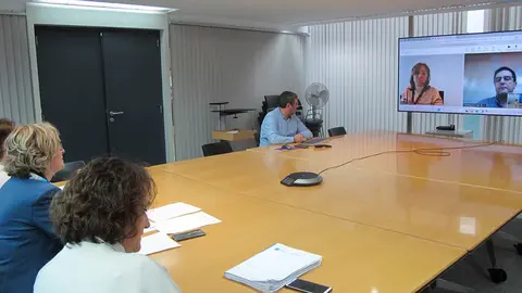 La directora general de Planificación y Reforma Sanitaria de la Consellería de Sanidad, Sofía López Linares, comparte con la Dirección de atención integrada social y sanitaria de Cataluña las iniciativas gallegas que se están desarrollando.