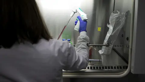 Se convocan 102 becas predoctorales para contratos de cuatro años, dotados con hasta 30.000 euros/año y hasta 6.000 € para los tres meses de estancia en el extranjero.