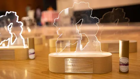 Premios Mulleres Femupo.